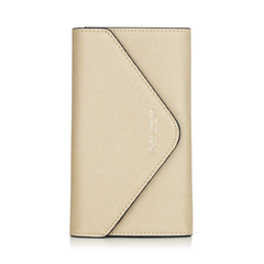 Gold Brush Clutch